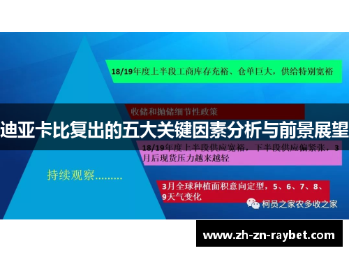 迪亚卡比复出的五大关键因素分析与前景展望 迪亚卡比复出的五大关键因素分析与前景展望