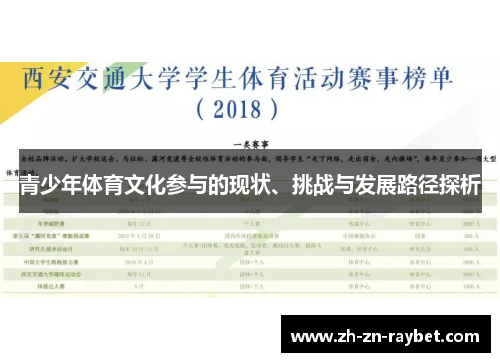 青少年体育文化参与的现状、挑战与发展路径探析