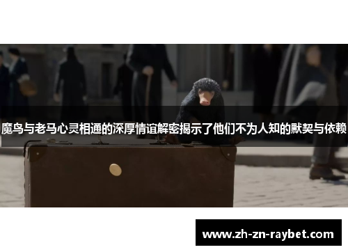 魔鸟与老马心灵相通的深厚情谊解密揭示了他们不为人知的默契与依赖 魔鸟与老马心灵相通的深厚情谊解密揭示了他们不为人知的默契与依赖