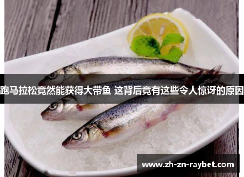 跑马拉松竟然能获得大带鱼 这背后竟有这些令人惊讶的原因 跑马拉松竟然能获得大带鱼 这背后竟有这些令人惊讶的原因