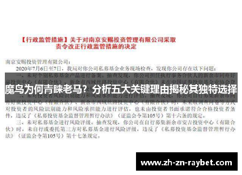 魔鸟为何青睐老马?分析五大关键理由揭秘其独特选择 魔鸟为何青睐老马?分析五大关键理由揭秘其独特选择